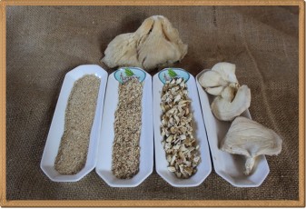 İstiridye Mantar Toz-500 gr