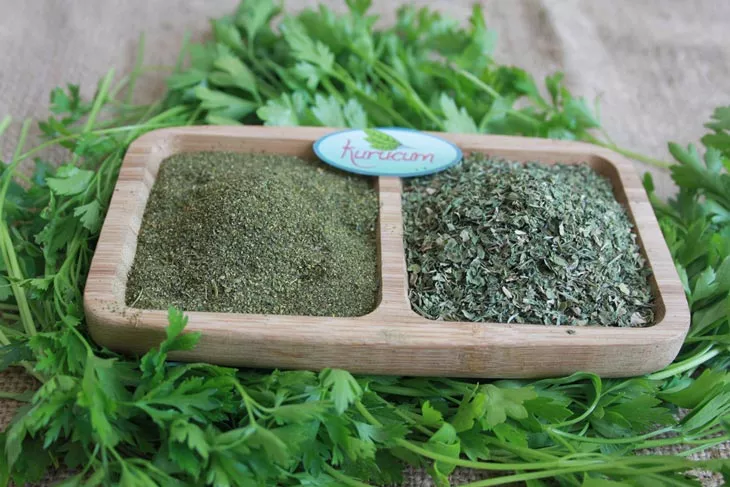 toptan kuru maydanoz-3