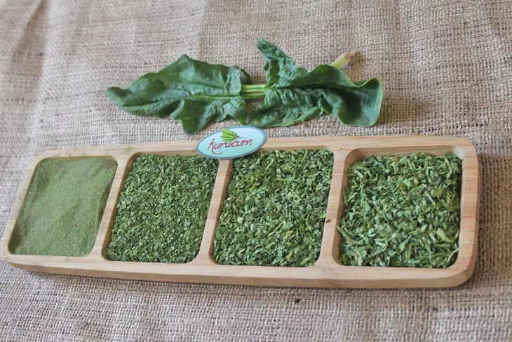 toptan kuru ıspanak-5