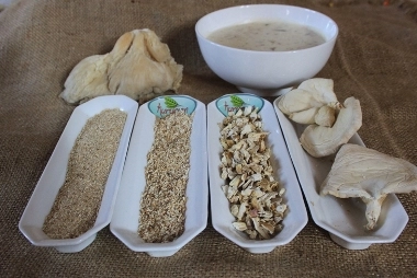 kurutulmuş istiridye mantarı